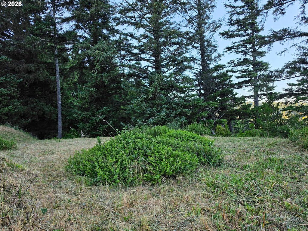 Picture 21