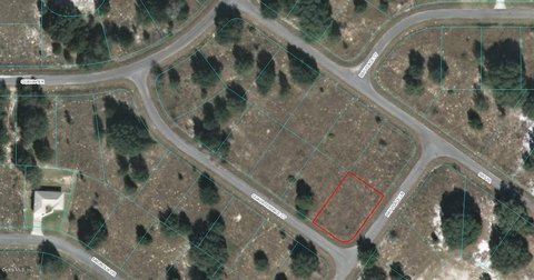 Land For Sale in Ocklawaha