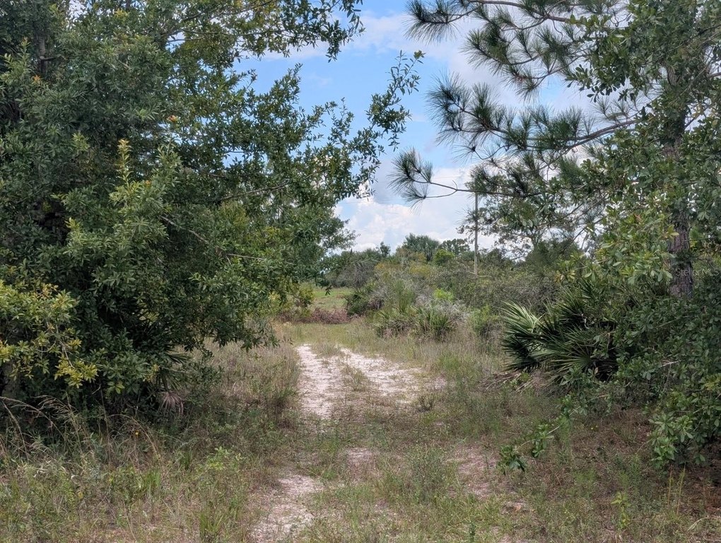 Picture 25