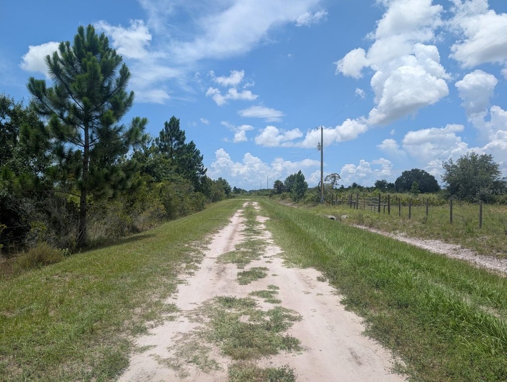 Picture 19