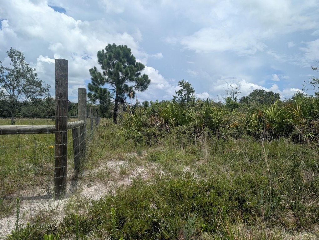 Picture 22