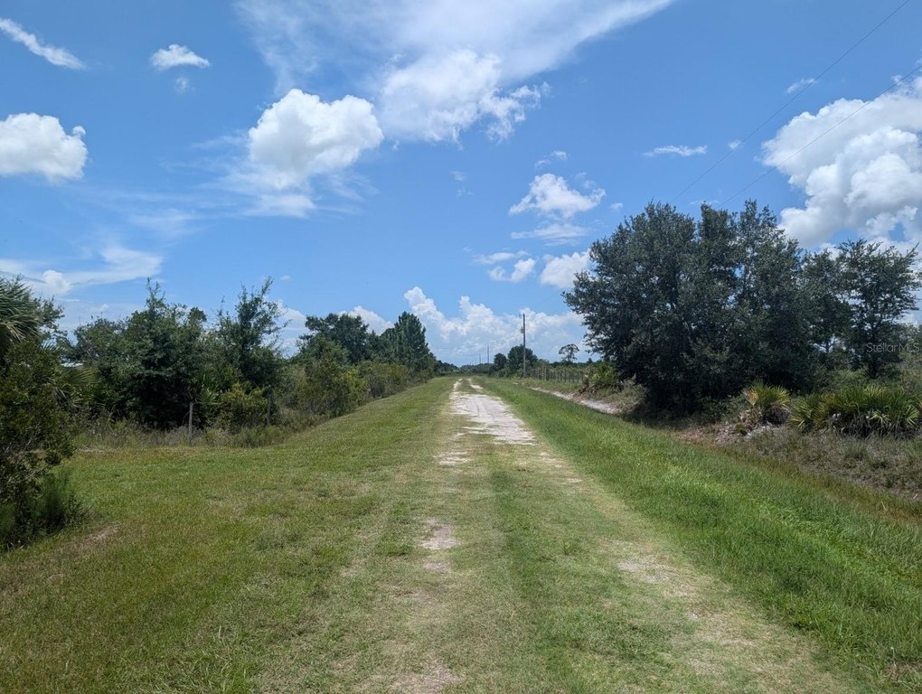 Picture 20