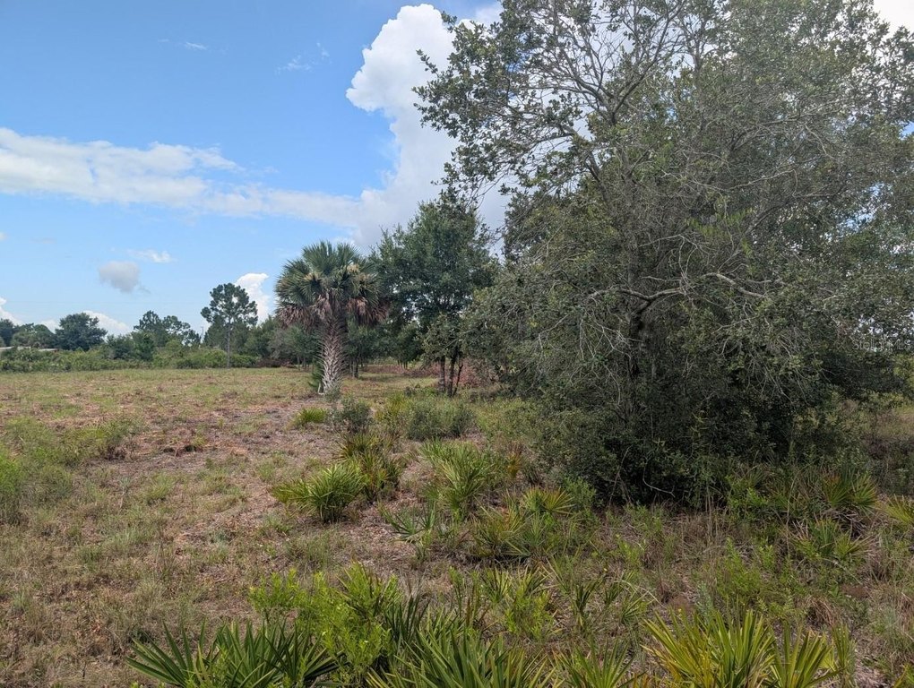 Picture 24