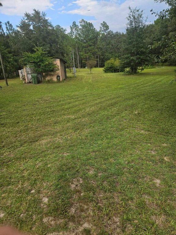 Picture 12
