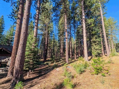 Truckee Land in Gray's Crossing