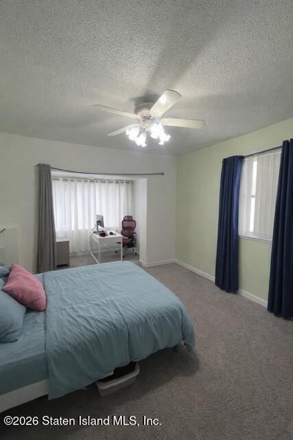 Picture 12