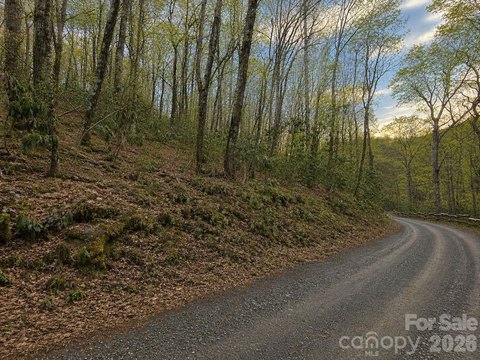 Forested Land Near Blue Ridge