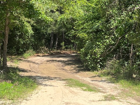 Centerville Ranch with Wildlife Abundance