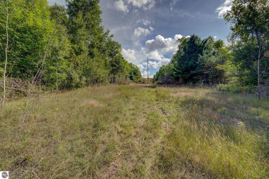 Picture 25