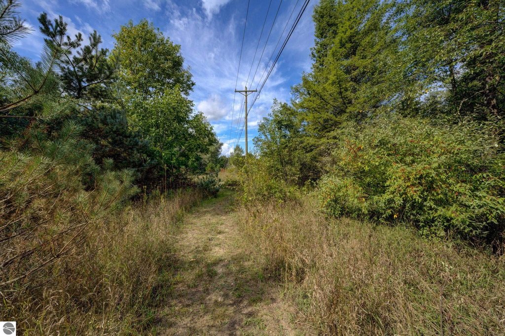 Picture 26