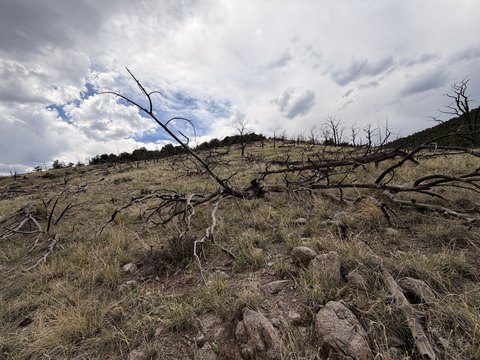 LAND - Cotopaxi, CO