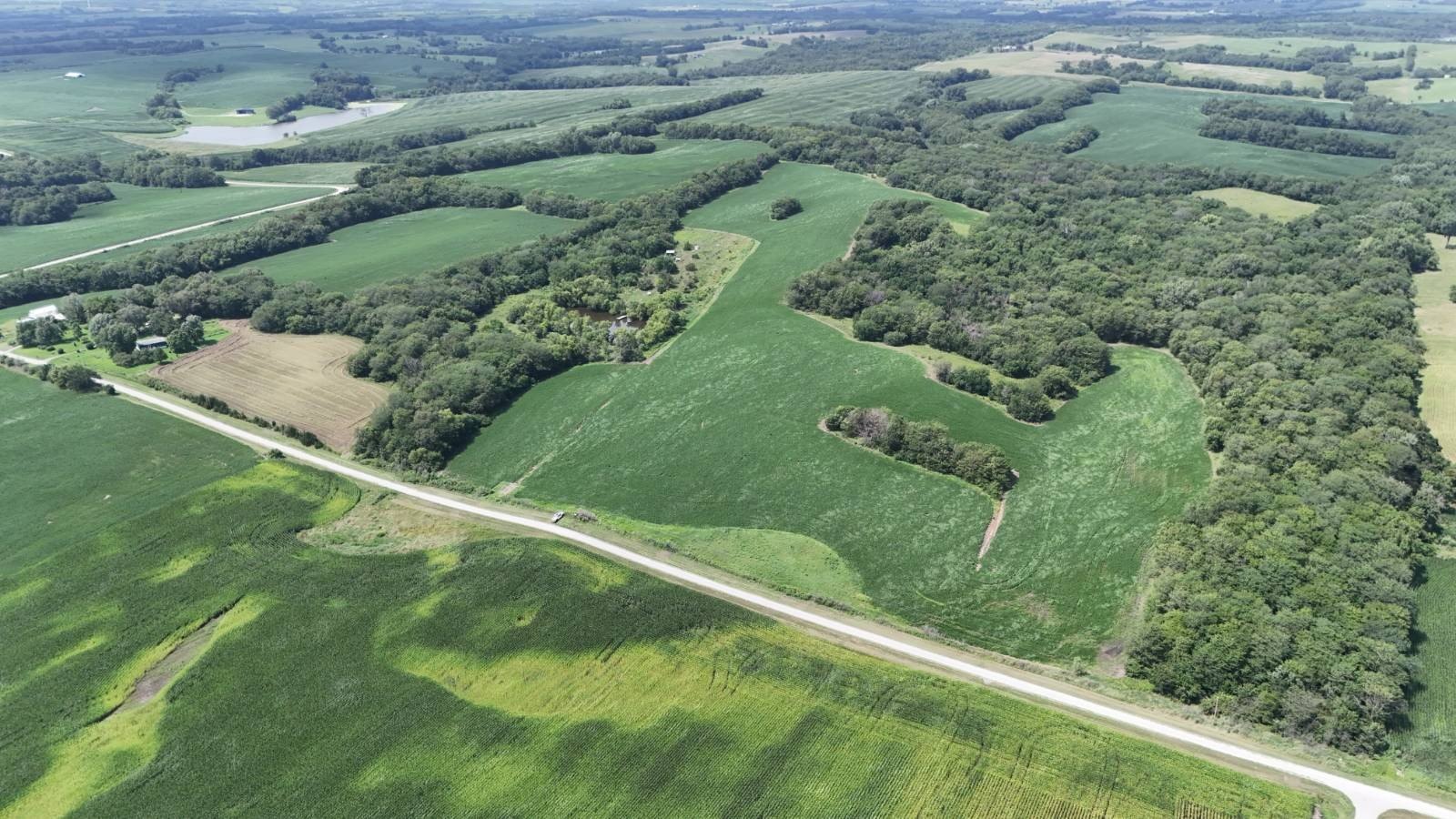 Tillable Land in Maysville, MO