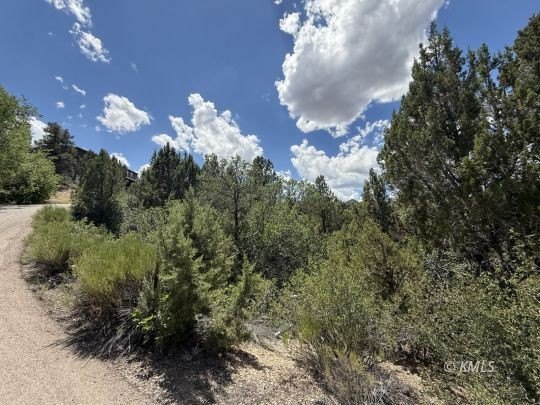 Picture 18