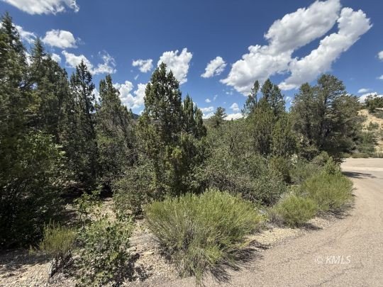 Picture 17