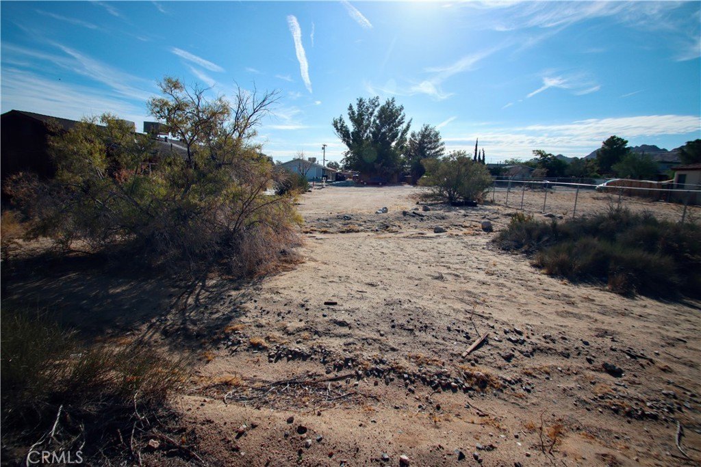 Picture 20