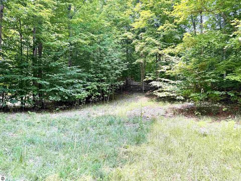 Wooded Parcel in Timber View