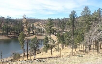 Land, Alto, NM
