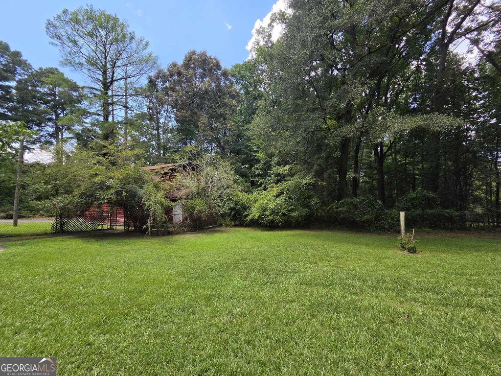 Picture 5