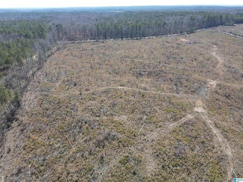 Clear-Cut Rolling Acreage with Creek