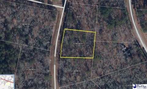 LAND - Cheraw, SC