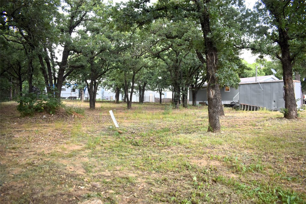 Picture 21