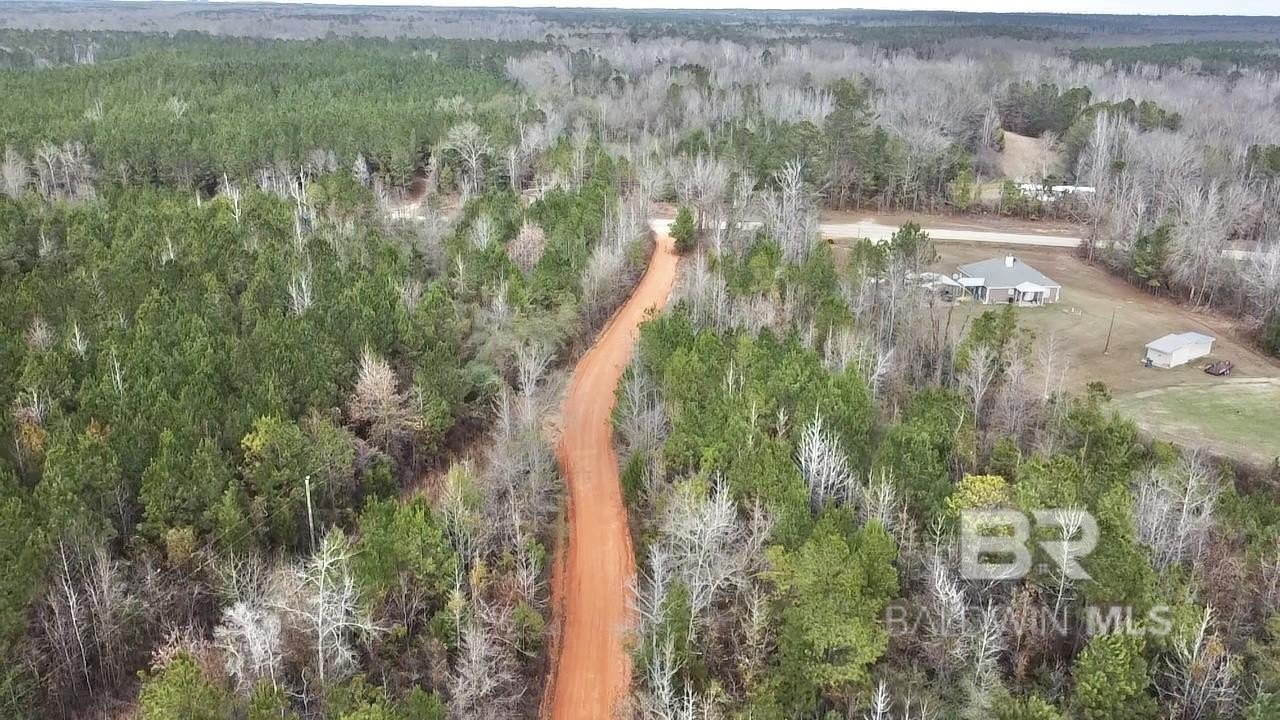 Unrestricted Land in Beatrice, Alabama