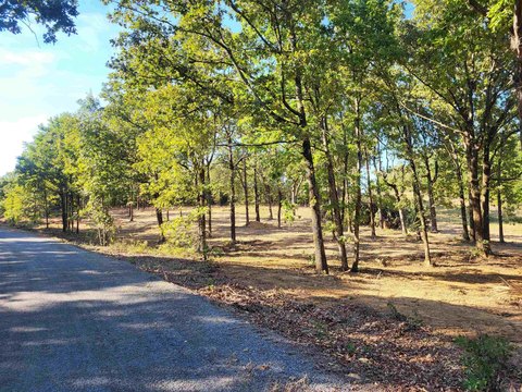 Vacant Land, Vilonia, AR