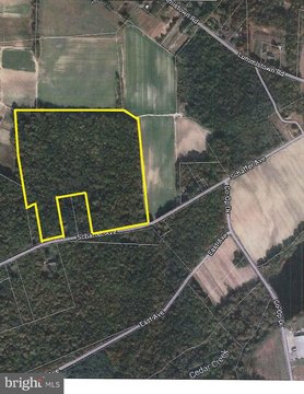 Wooded Acreage in Cedarville, NJ