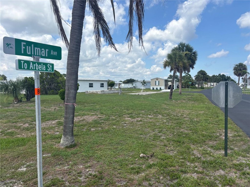 Picture 6