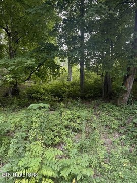 Lots & Acreage, Loudon, TN