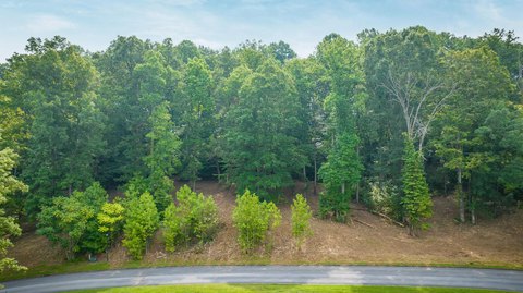 Chuckey, TN One Acre Lot
