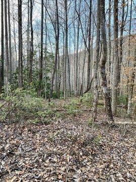 LAND - Robbinsville, NC