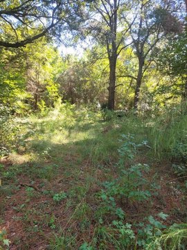 Edisto Island Land Opportunity
