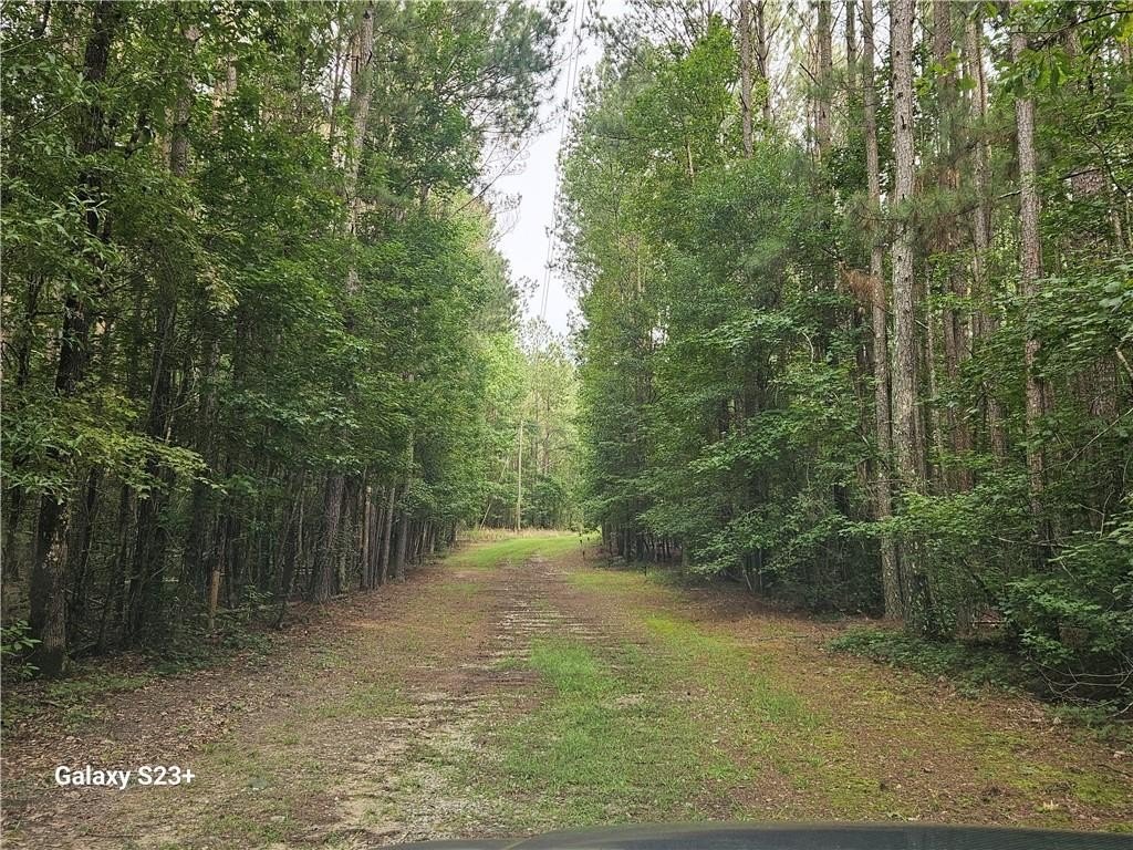 Picture 29