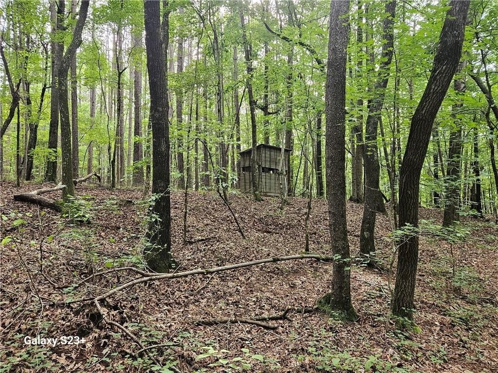 Picture 18