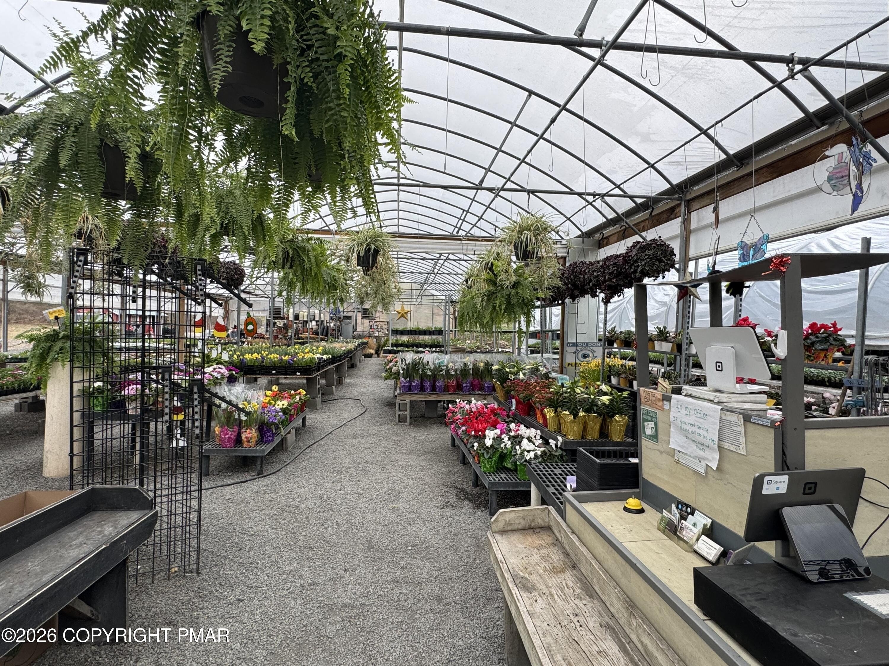 Established Nursery with Income Streams