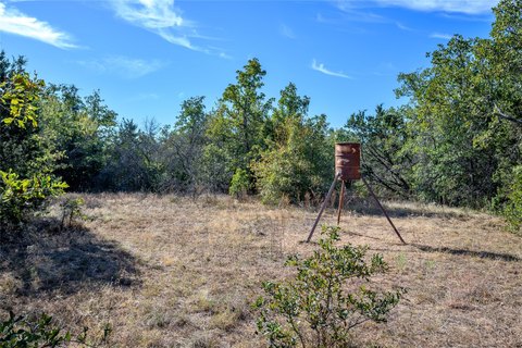 Open Pasture and Wooded Land