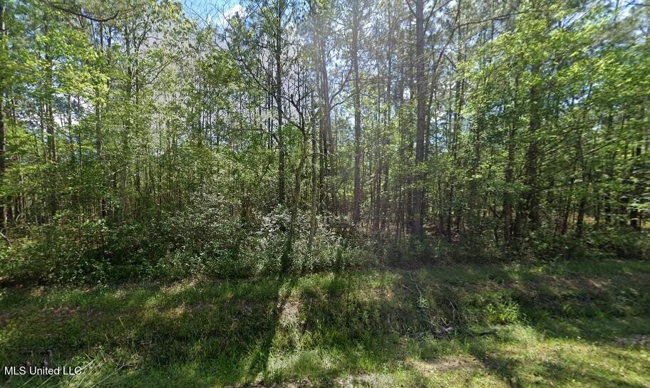 Wooded Lots Near Gulf Coast