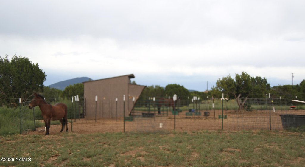 Picture 25