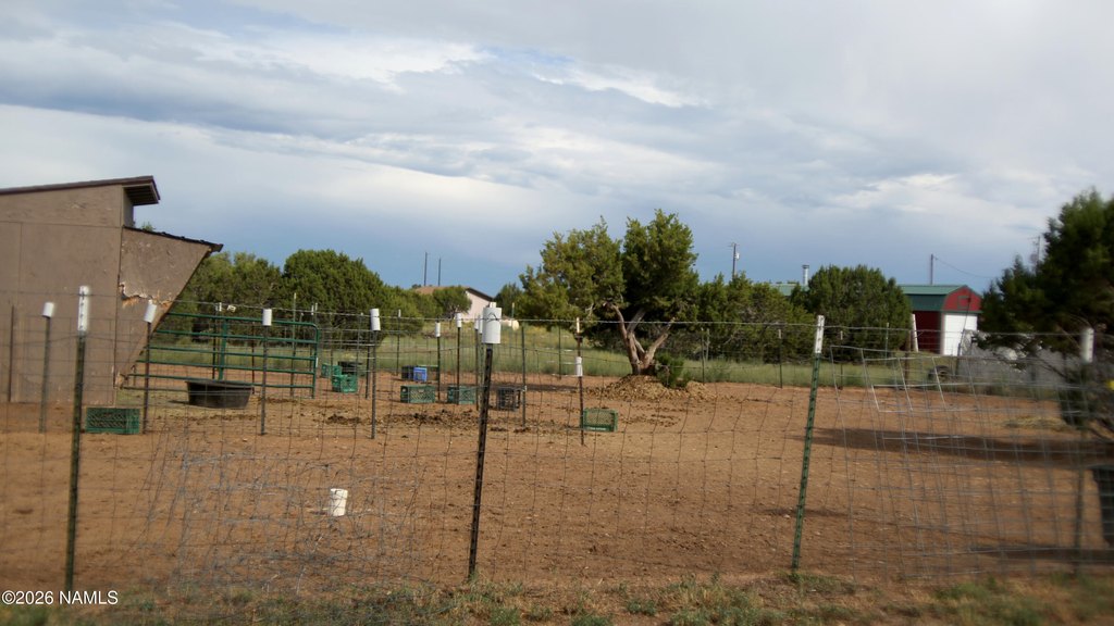Picture 26