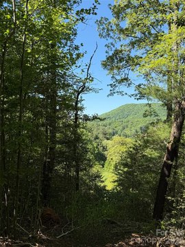 LAND - Hendersonville, NC