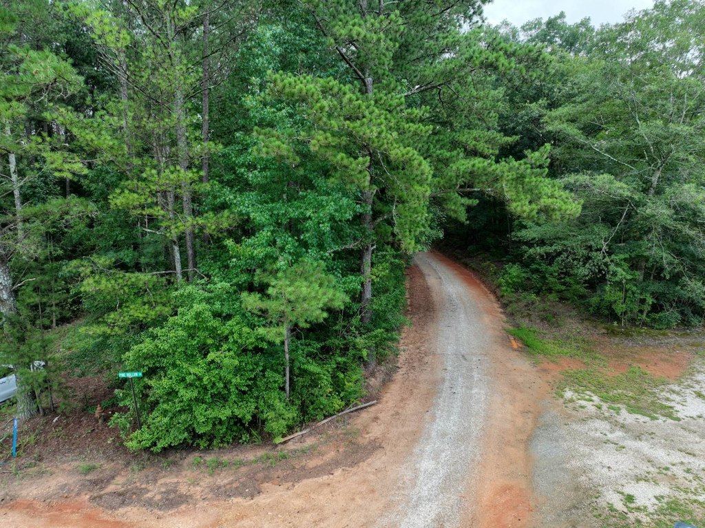 Picture 4