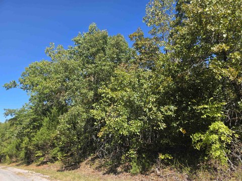 Vacant Land, Horseshoe Bend, AR