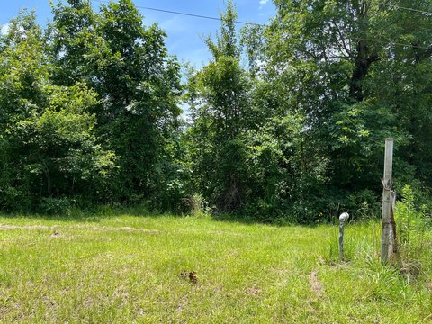 Rural Agricultural Hunting Land