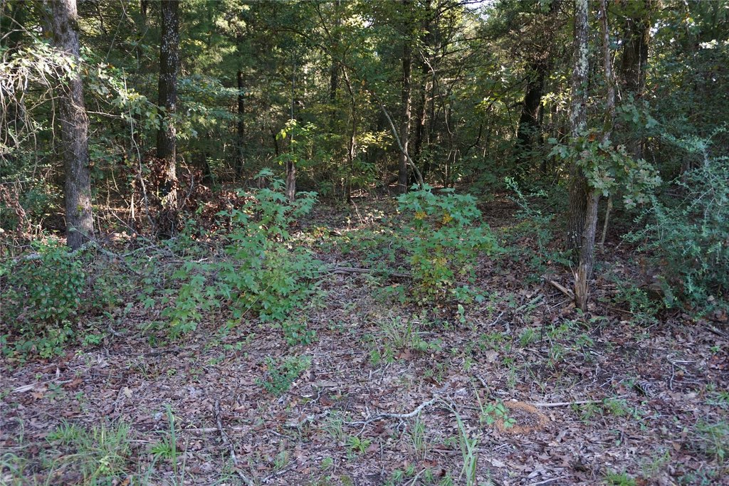 Picture 7