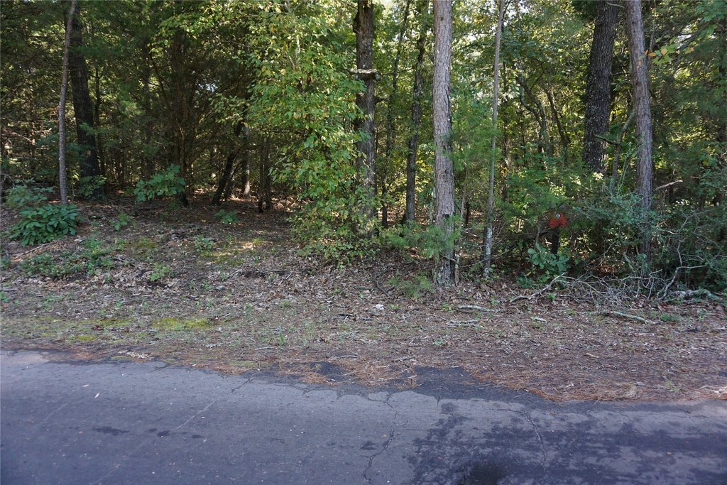 Picture 5