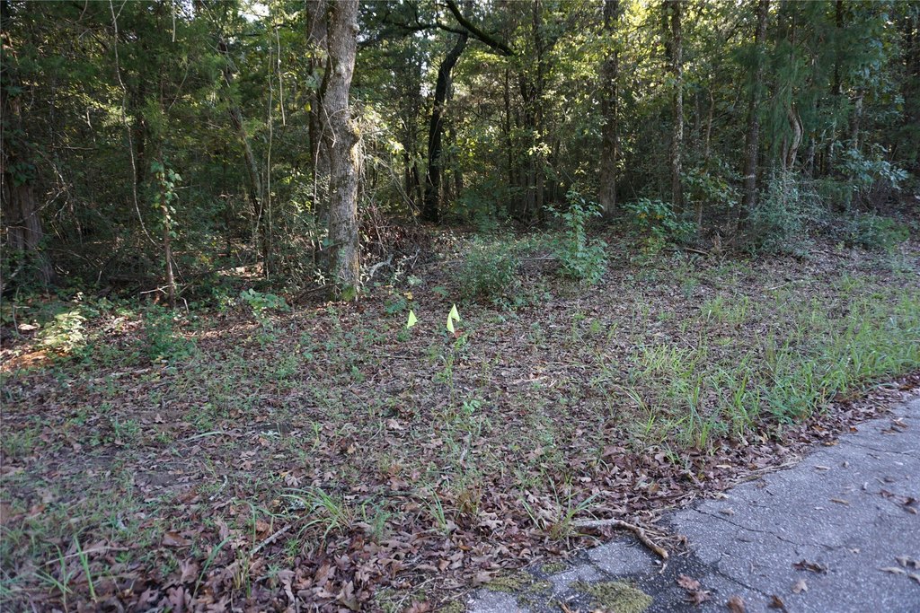 Picture 8