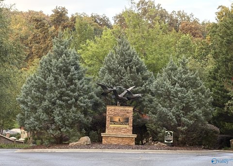 Land, Scottsboro, AL
