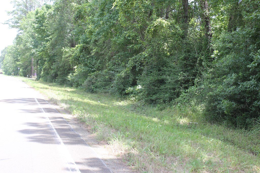 Picture 6