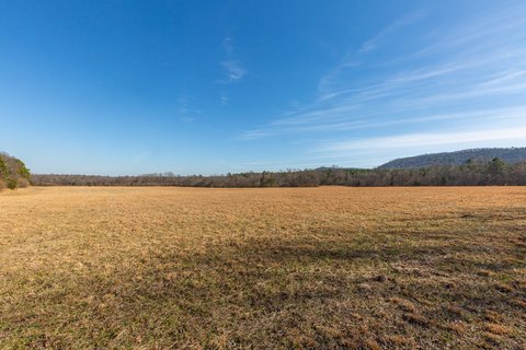 Land with County Road Frontage